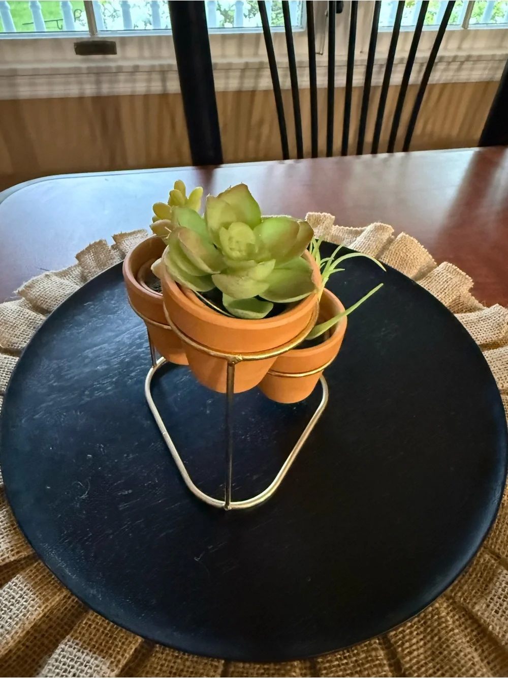 Terracotta Mini Succulent Trio with Gold Stand - Faux Green Plants